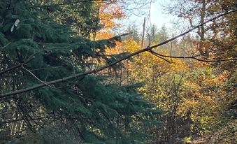 The Ship Inn Self Catering