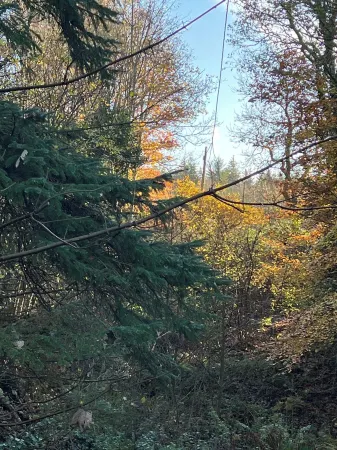 The Ship Inn Self Catering