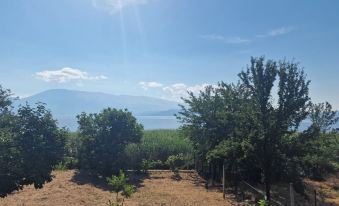 Lakeside View Apartment