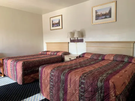 Surrey Motel Отели в г. Нейплейт