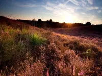 Family Home Near Hoge Veluwe Park - 2-Star