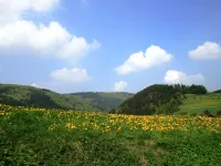 Ferienwohnung bei Willingen mit Terrasse - 2-Star