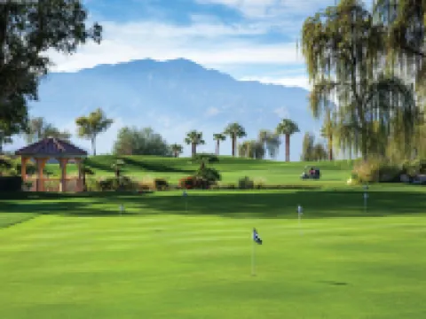 綠蔭嶺1號村莊萬豪酒店 棕櫚沙漠城酒店