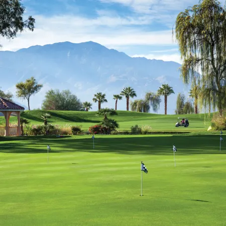 Marriott's Shadow Ridge I-The Villages