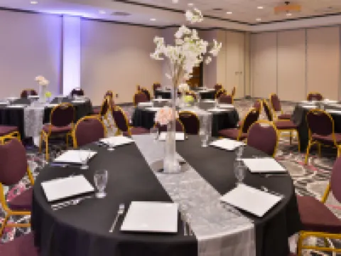 Holiday Inn KANSAS CITY AIRPORT by IHG Hotels in May Township