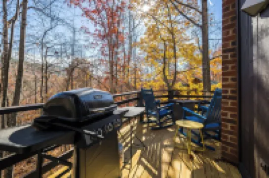 Eagle's Nest A-Frame Cabin Mountain Retreat with EV Charger @ Massanutten Resort