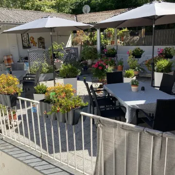 Living above the Roofs of Cochem