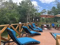 Amazing Jungle Tree House right over the river with bikes and canoe