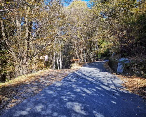 Baita Ribes Hotels in Sorico