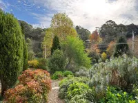 Little Haven Leura Cottage with Spa Bath and BBQ