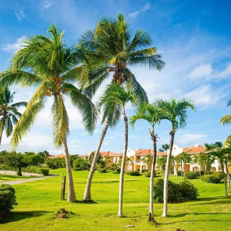 Cozy apartment at Cocotal Golf Suites