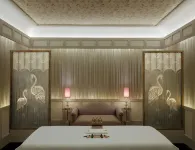 Narendra Bhawan - spa