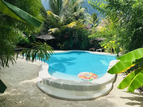 Boutique Villa Unaweza - piscina