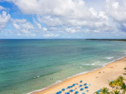 コートヤード バイ マリオット イスラ ベルデ ビーチ リゾート カロライナのホテル