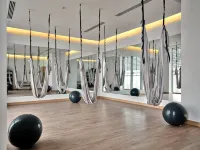 Crowne Plaza DUSHANBE by IHG - Gym