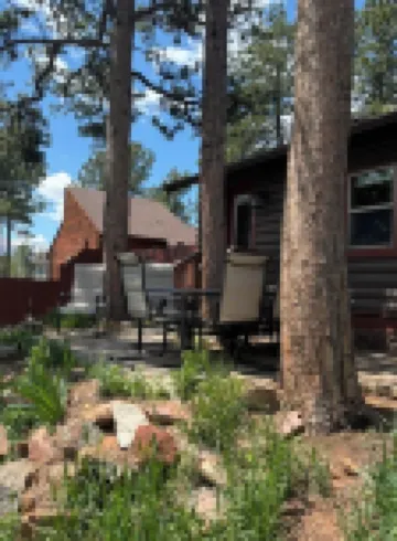 1930’s Woodland Park Cabin: Rustic & Romantic