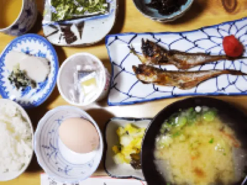 Ryokan Asahikan Hotel Hotéis em Yasugi