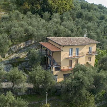 Villa Olivo