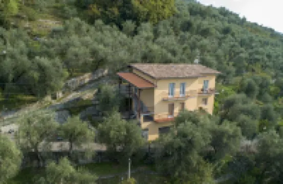 Villa Olivo