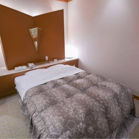 Business Hotel Ryokan Honjin