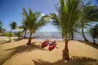 Villa Armoniosa - Stunning 4BR Beachfront Villa w Pool Ocean Views - Villas