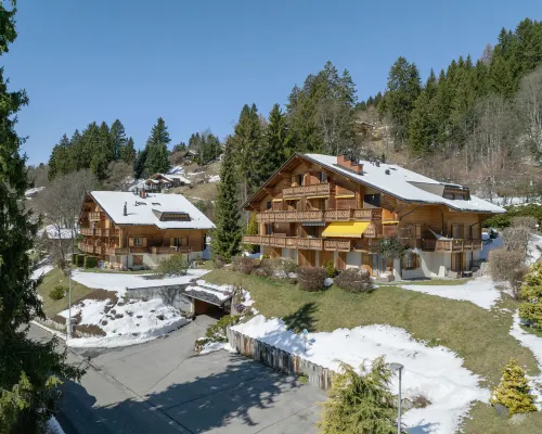 Chaperon Rouge A3 Hotels in Ollon