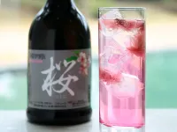 Hotel Kasugai - bar