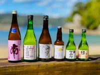 Pension Shishikui - bar