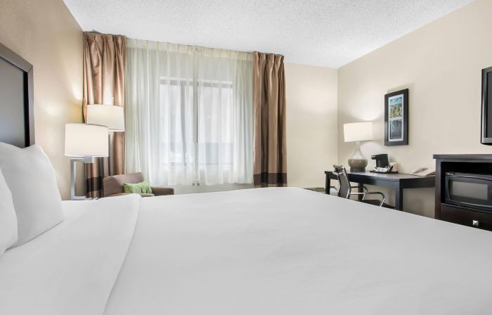 Comfort Inn Downtown