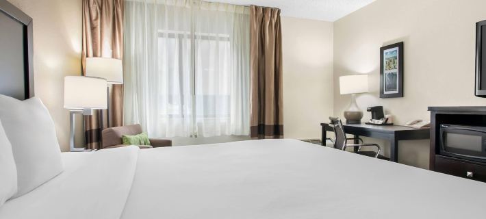 Comfort Inn Downtown Hotel a Detroit