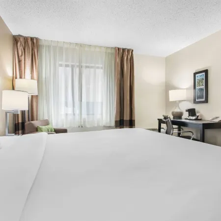Comfort Inn Downtown