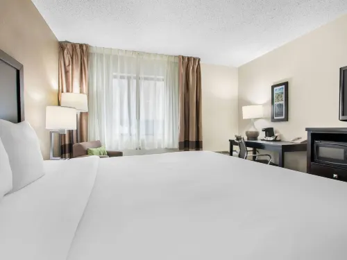 Comfort Inn Downtown - breakfast
