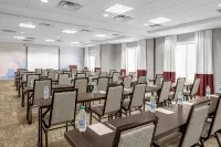 Hilton Garden Inn Raleigh-Durham Airport - bar