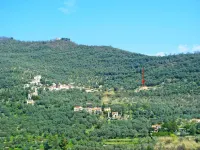 Luca (Pre171)