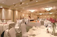 埃德蒙頓國際機場希爾頓花園酒店 - 停車場
