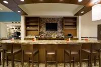 Hilton Garden Inn Baltimore Inner Harbor - bar