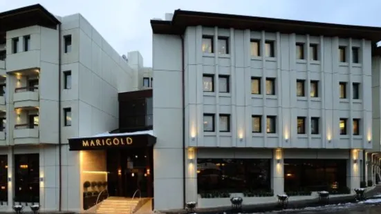 Marigold Thermal & Spa Hotel Bursa