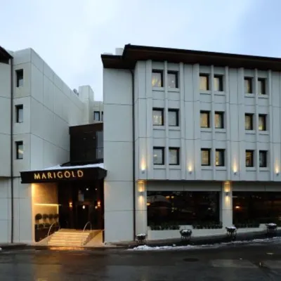Marigold Thermal & Spa Hotel Bursa Hotels near Tophane Clock Tower