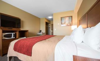 Comfort Inn & Suites Langley