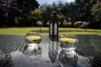 Brucefield Boutique B&B Hotels in Arbroath