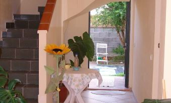 Sa Domu Sarda - Apartment with Garden