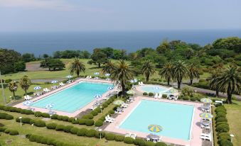 a large outdoor swimming pool surrounded by palm trees and a view of the ocean at Kawana Hotel