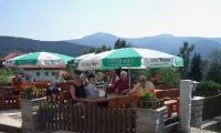 GarniHotel Zur Linde - Bayerischer Wald - Inklusiv AktivCard - Kostenloser Parkplatz Hotels in Lam