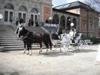 Hotel Goldner Anker Hotels in Selb