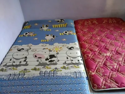Bina Karya Guesthouse Hotel di Piyungan