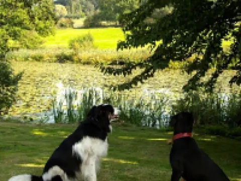 Abbey Farm Bed and Breakfast Hotels in Merevale