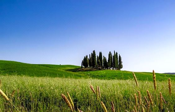 5. 호텔 코르시그나..