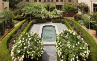 Waldorf Astoria Atlanta Buckhead - Romantic