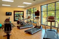 Hampton Inn Wheeling Hotels in Wheeling