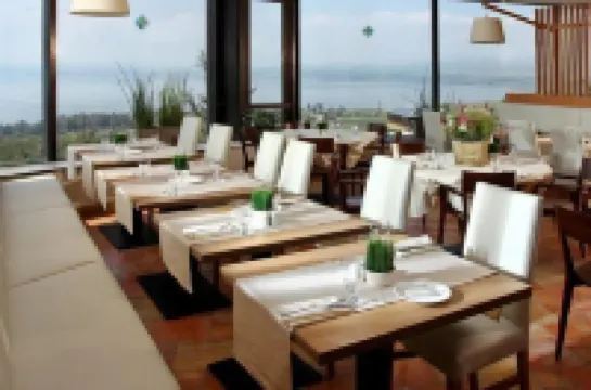 Ramot Resort Hotel Hotels in Moshav Ramot